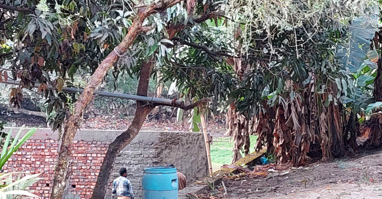 দখল-ভরাটে হারিয়ে যাচ্ছে পুরোনো খাল