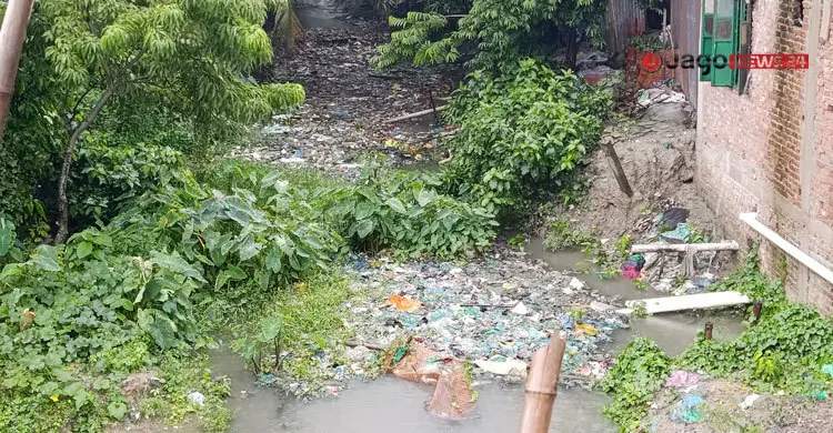 দাউদকান্দির ‘লাইফ লাইন’ এখন ময়লার ড্রেন