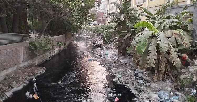দখল-দূষণে ধুঁকছে কালিয়ানী খাল