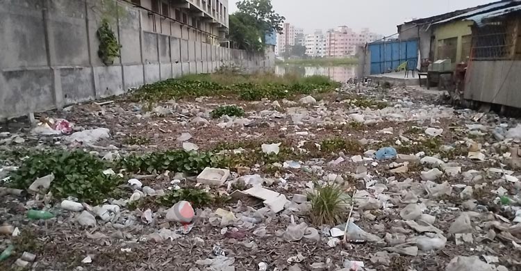 দখল-দূষণে ধুঁকছে কালিয়ানী খাল