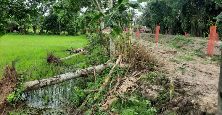কৃষকের ‘কপাল পুড়িয়ে’ ভেকু দিয়ে খাল খনন