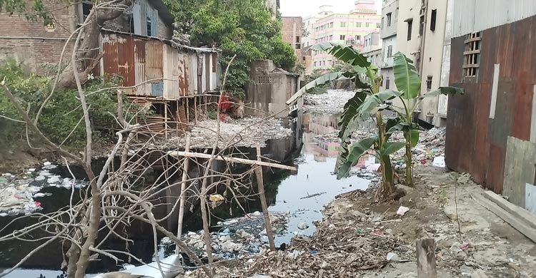 দখল-দূষণে ধুঁকছে কালিয়ানী খাল