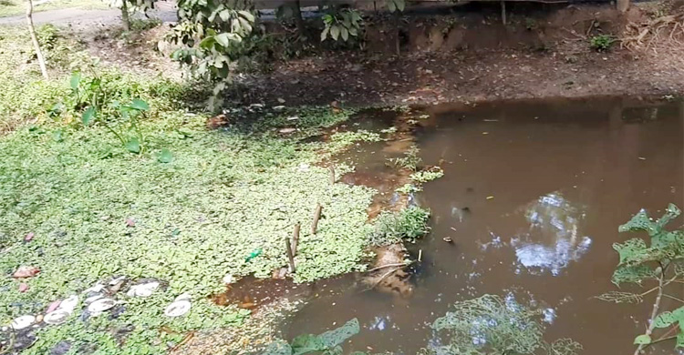 মৃতপ্রায় খালে বিপন্ন জনপদ, বোরো ধান চাষে অনিশ্চয়তা