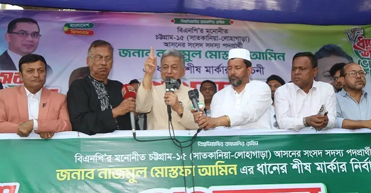 ধানের শীষের সুনামি আসছে: আমীর খসরু