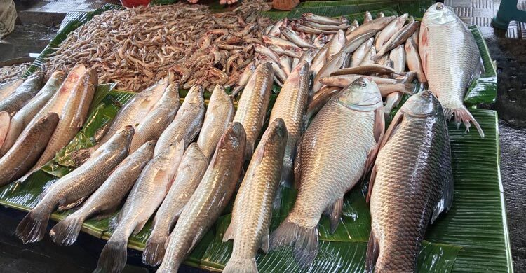 খুলনায় মাছের বাজার চড়া