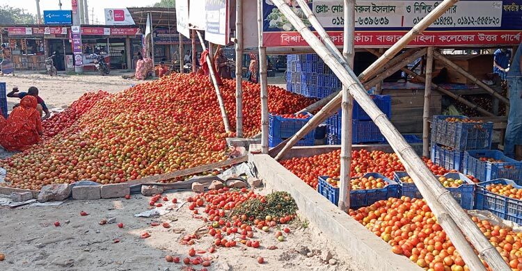 ডুমুরিয়ার পাইকারি বাজারে টমেটোর ছড়াছড়ি, কেজি ৩ টাকা