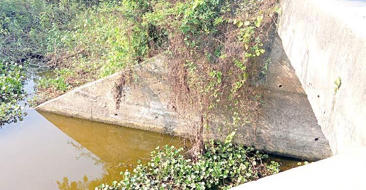 খাল-স্লুইস গেটের বেহাল দশায় হুমকির মুখে চাষাবাদ