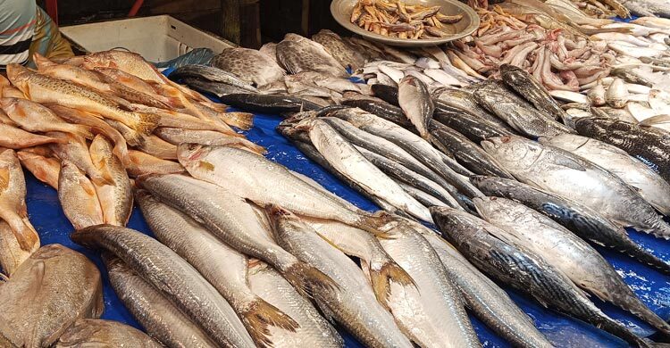 খুলনার বাজারে মাছের দামে আগুন