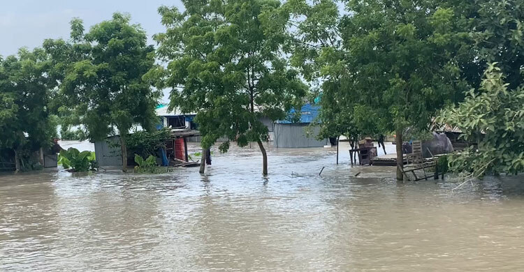 খুলনায় বাঁধ ভেঙে পানিবন্দি শতাধিক পরিবার