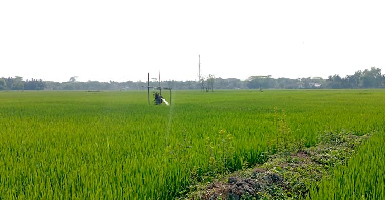 খাল-স্লুইস গেটের বেহাল দশায় হুমকির মুখে চাষাবাদ