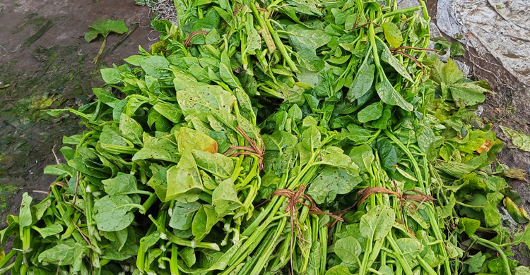 খুলনায় খুচরা বাজারে সবজির দাম দ্বিগুণ