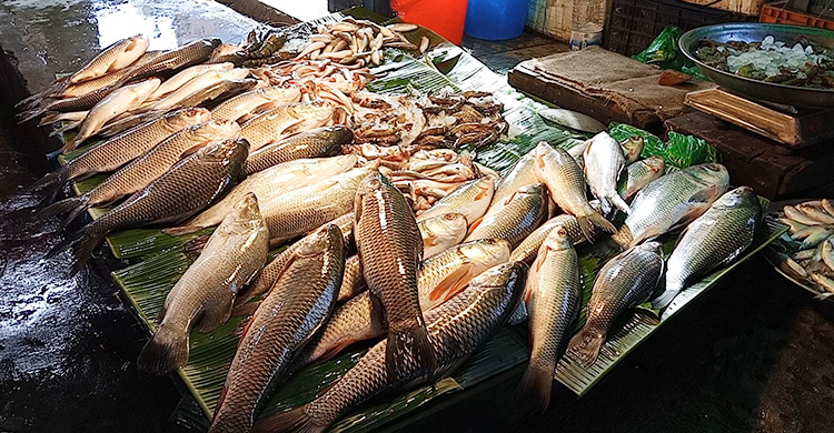 খুলনায় সরবরাহ বাড়লেও দাম কমছে না সবজির