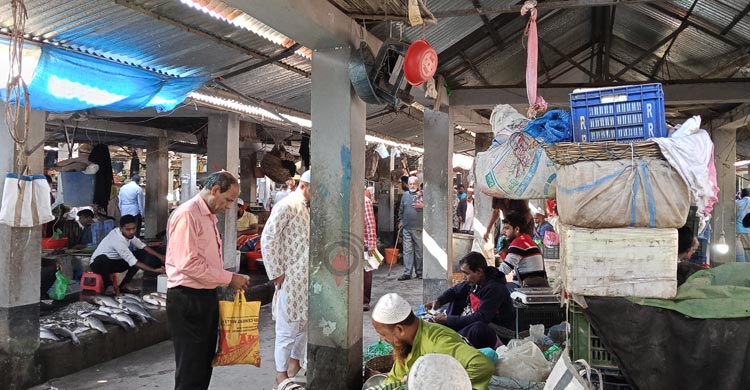 খুলনার বাজারে কমতে শুরু করেছে সবজির দাম