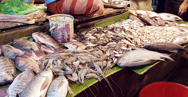 খুলনায় ফের চড়া সবজির বাজার, বেড়েছে মুরগির দামও