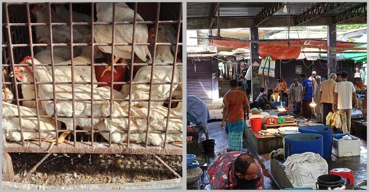 খুলনায় চড়া মাছ-মাংসের বাজার