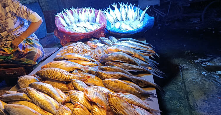 খুচরা বাজারে মাছের দাম চড়া