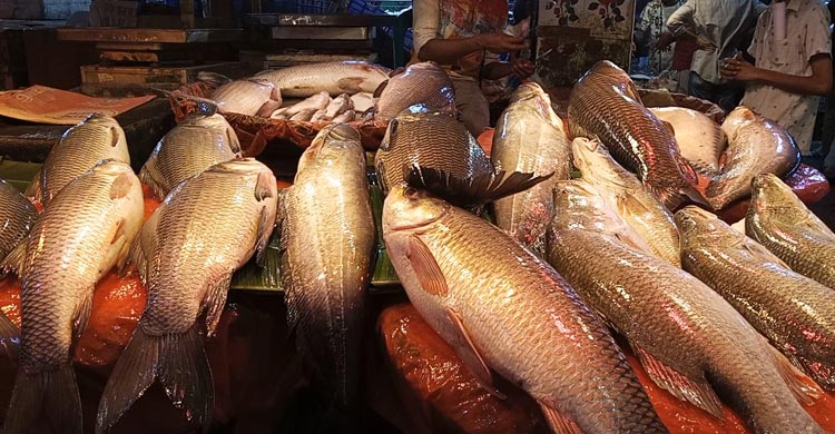 বেড়েছে শীতের সবজির সরবরাহ, কমছে দাম