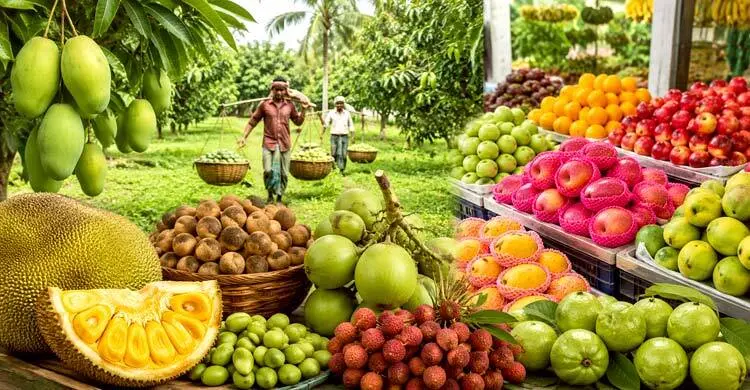 খুলনার ফল খাতে সম্ভাবনার চেয়ে সংকটই বেশি