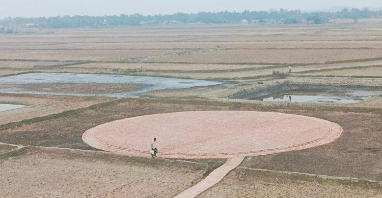 সুইডেনের প্রিন্সেসকে বরণে প্রস্তুত কয়রা