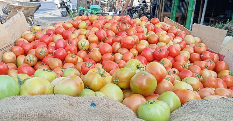 ডুমুরিয়ার পাইকারি বাজারে টমেটোর ছড়াছড়ি, কেজি ৩ টাকা