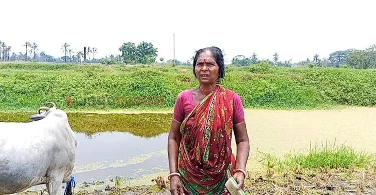 বর্জ্যের বিষে ধ্বংসের মুখে রাজবাঁধের কৃষি-মৎস্যসম্পদ