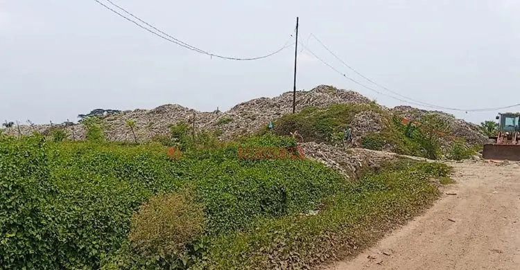 বর্জ্যের বিষে ধ্বংসের মুখে রাজবাঁধের কৃষি-মৎস্যসম্পদ