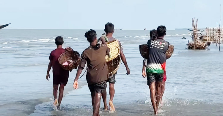 সুন্দরবন দস্যু আতঙ্কে জীবন-জীবিকা-রাজস্ব হুমকির মুখে