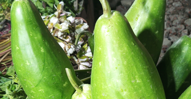 সপ্তাহের ব্যবধানে কেজিতে সবজির দাম বেড়েছে ২০ টাকা