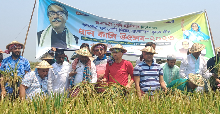 হাওরে এক একর ধান কাটলেন কৃষক লীগের নেতারা