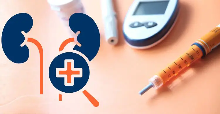 কিডনি ভালো আছে কি না বুঝবেন কীভাবে?