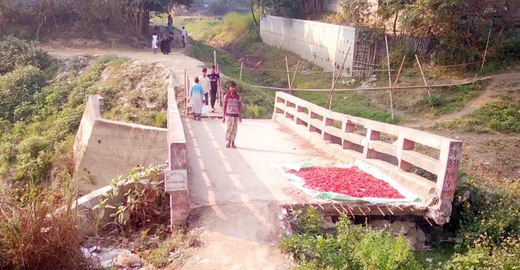 সাঁকো দিয়ে ভাঙা সেতু পারাপার, ৪০ হাজার মানুষের ভোগান্তি