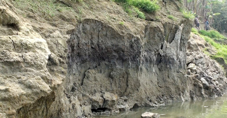 অবৈধভাবে বালু উত্তোলন, নদীতে বিলীন ফসলি জমি-বসতঘর