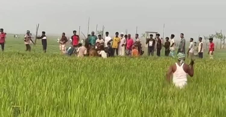 ৫২ বছরের বিরোধ, জামিন পেয়ে আবারো সংঘর্ষে আহত ৩০