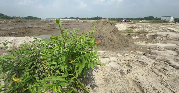 নদের বালু ইজারা নিয়ে কৃষিজমি ধ্বংস, নেপথ্যে বিএনপি নেতা!