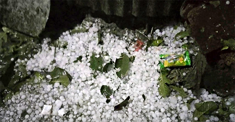 কিশোরগঞ্জে শিলাবৃষ্টির তাণ্ডব, ৪ হাজার হেক্টর বোরো ধান ক্ষতিগ্রস্ত