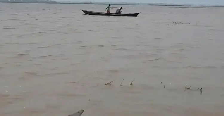 হাওরে ধান কাটতে গিয়ে নৌকা ডুবি, শ্রমিক নিখোঁজ