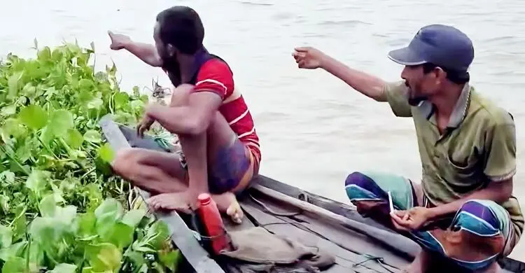 হাওরে ধান কাটতে গিয়ে নৌকা ডুবি, শ্রমিক নিখোঁজ