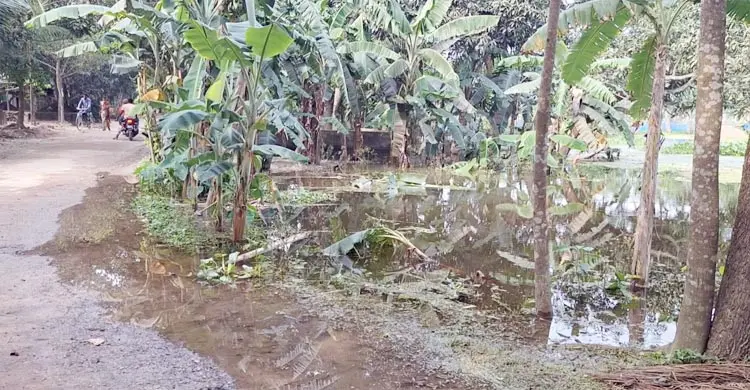 কালভার্ট বন্ধ করে বিএনপি নেতার বাড়ি নির্মাণ, হুমকিতে ৫০০ বিঘা জমি