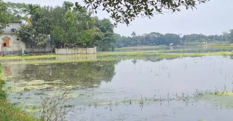 কালভার্ট বন্ধ করে বিএনপি নেতার বাড়ি নির্মাণ, হুমকিতে ৫০০ বিঘা জমি