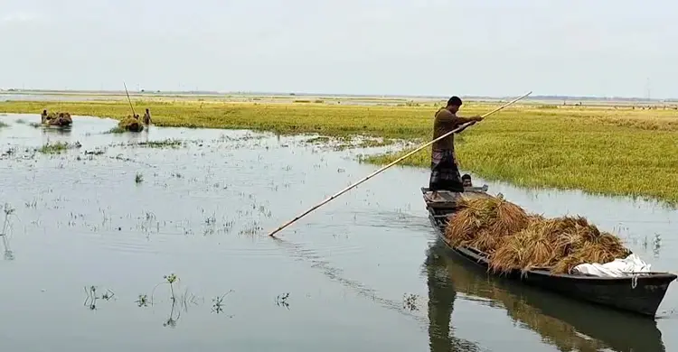 কিশোরগঞ্জে আবারো বৃষ্টি, বেড়েছে নদ-নদীর পানি