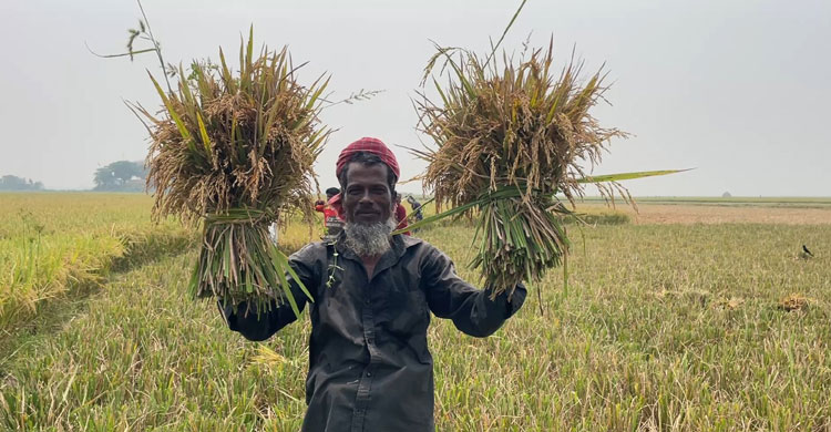 ন্যায্য মজুরি ও সম্মানের অভাবে পেশা বদলাচ্ছেন কৃষি শ্রমিকরা