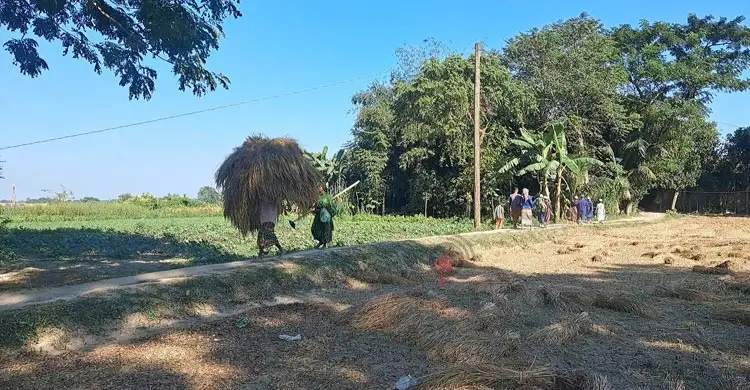 মাদক কারবারিদের ‘সেইফ জোন’ বিচ্ছিন্ন গ্রাম চর আলগী