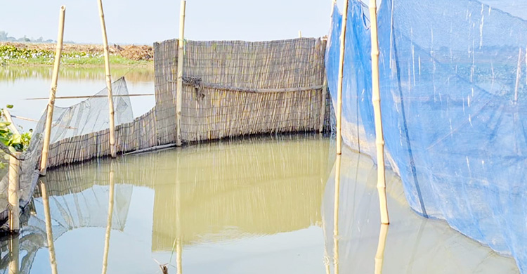 বিল ভরাটে পথে বসেছে অষ্টগ্রামের জেলেরা, ইজারা বাতিলের দাবি