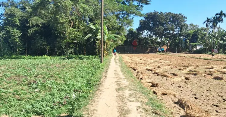 মাদক কারবারিদের ‘সেইফ জোন’ বিচ্ছিন্ন গ্রাম চর আলগী