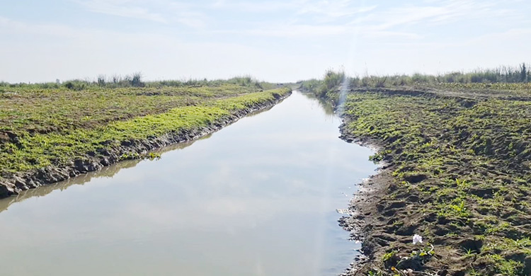 বিল ভরাটে পথে বসেছে অষ্টগ্রামের জেলেরা, ইজারা বাতিলের দাবি