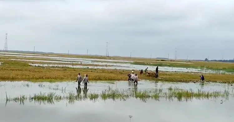 কিশোরগঞ্জে আবারো বৃষ্টি, বেড়েছে নদ-নদীর পানি