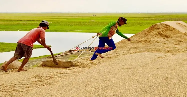 দুর্যোগ-দরপতনে দিশাহারা কৃষক