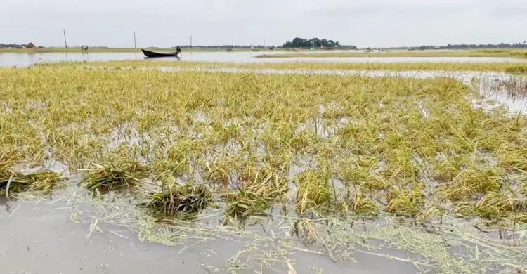 কিশোরগঞ্জে রোদ উঠলেও বেড়েছে নদ-নদীর পানি