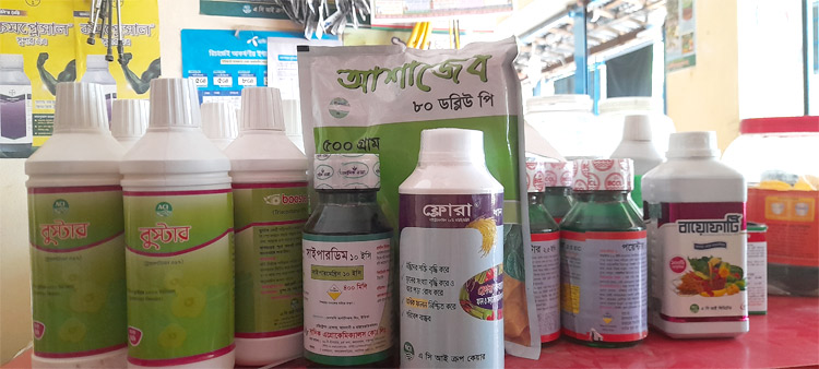 শুধু লিচু মৌসুমেই ঈশ্বরদীতে ৮০ কোটি টাকার সার-কীটনাশক ব্যবহার