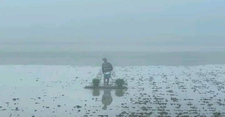 কিশোরগঞ্জের নিকলীতেও দেশের সর্বনিম্ন তাপমাত্রা